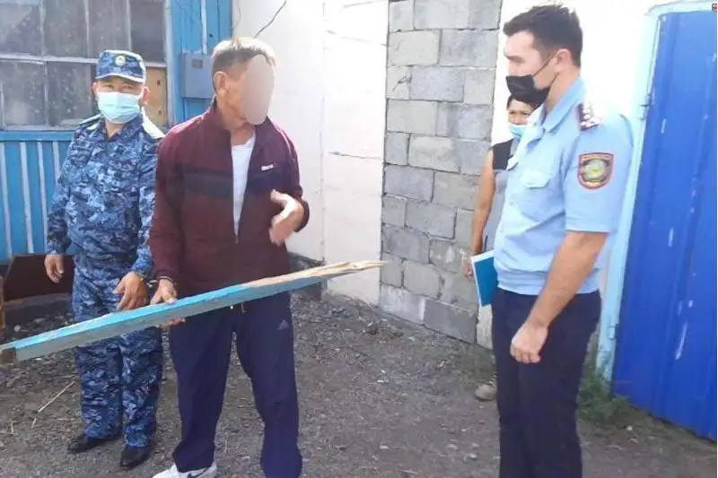 Мужчина нанес смертельный удар брату в Алматинской области