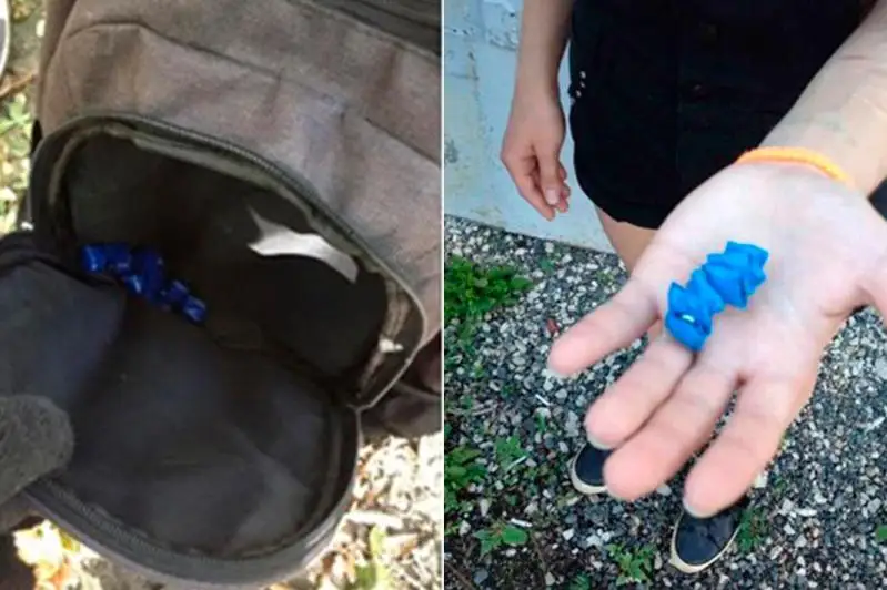 Выпускник кокшетауского колледжа хранил наркотики на 1,5 млн тенге