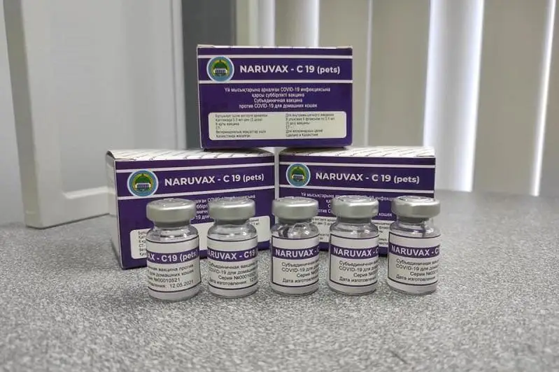 Казахстанскую вакцину от COVID-19 для кошек презентовали в Нур-Султане