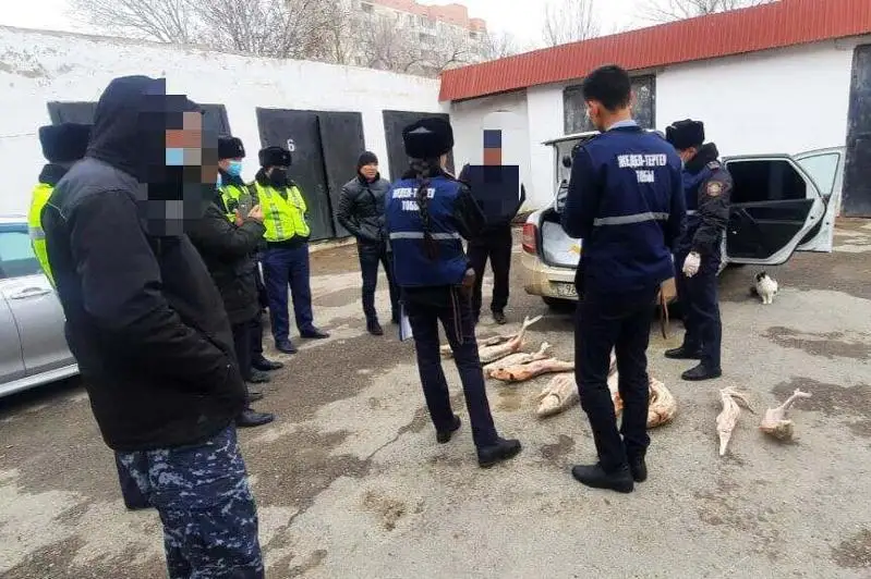 50 кг рыбы изъяли у браконьера в Атырауской области