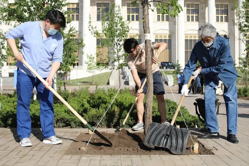 500 дубов и 1000 кустов сирени посадили у театра «Астана Опера»