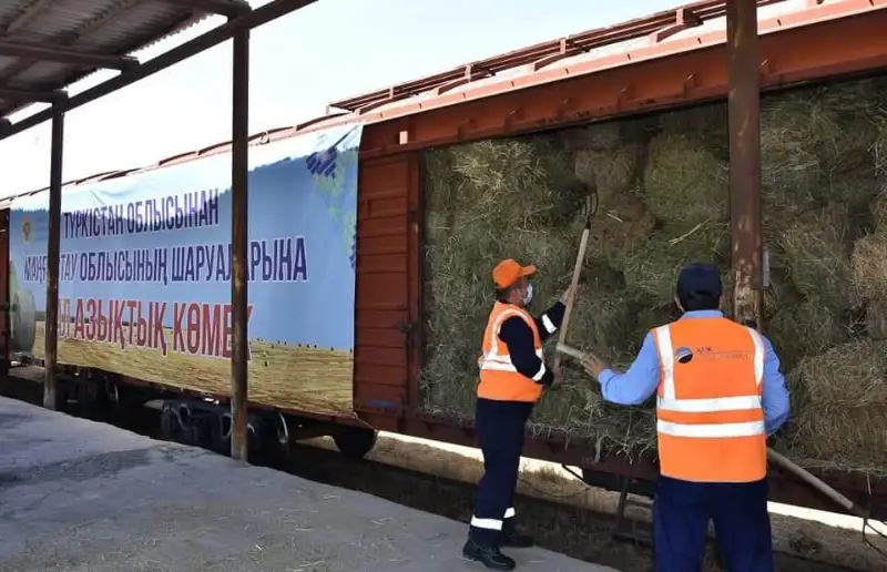 Из Туркестанской области в западные регионы отгружено 67 вагонов кормов