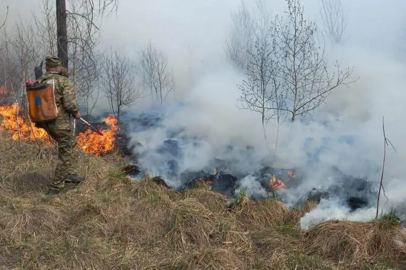 В Риддере ликвидирован пожар в жилой зоне, в лесу тушение продолжается - ДЧС ВКО