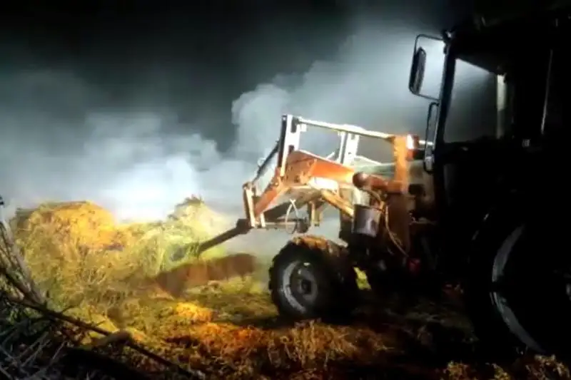 Более 800 тонн сена уничтожено в ВКО