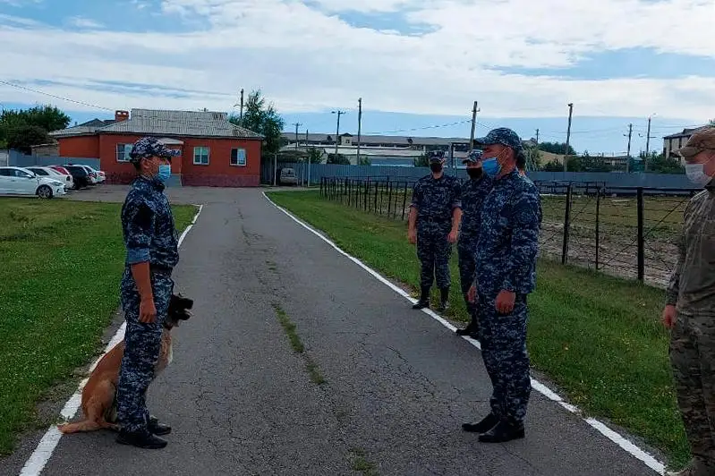 Служебно-розыскные собаки прошли тестирование в СКО