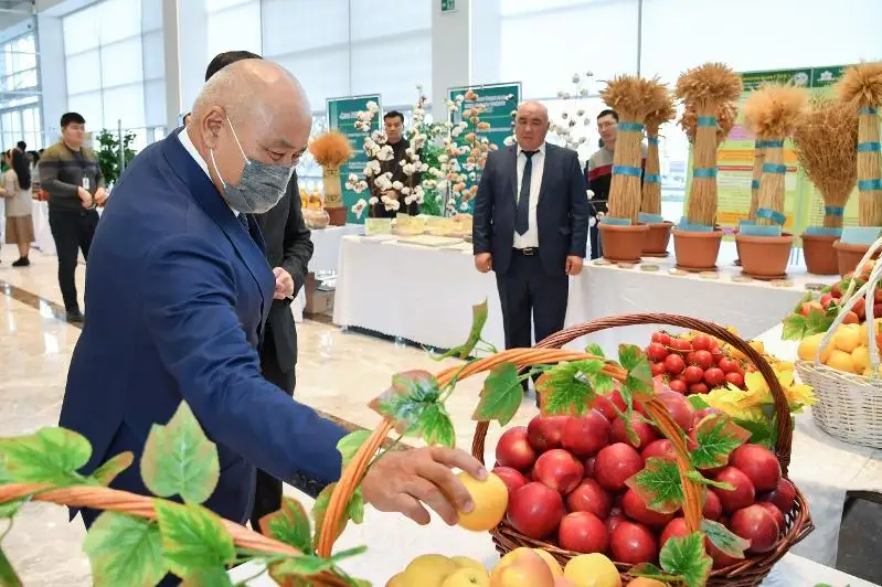 Túrkistan oblysynyń aýyl sharýashylyǵy salasynda rekordtyq ónim jınaldy