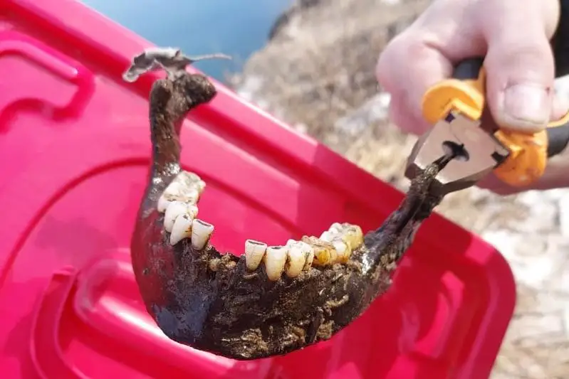 Человеческая челюсть на берегу Иртыша: археолог оценил находку