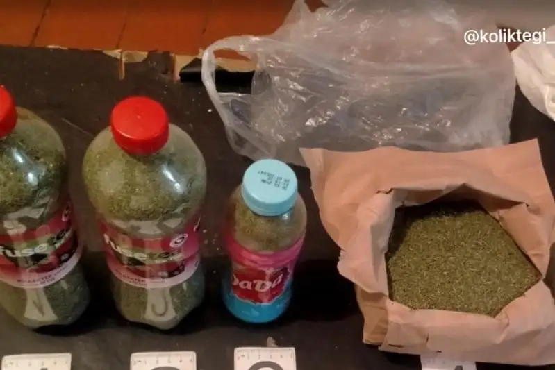 Около двух кг наркотиков изъяли у жителя Алматинской области