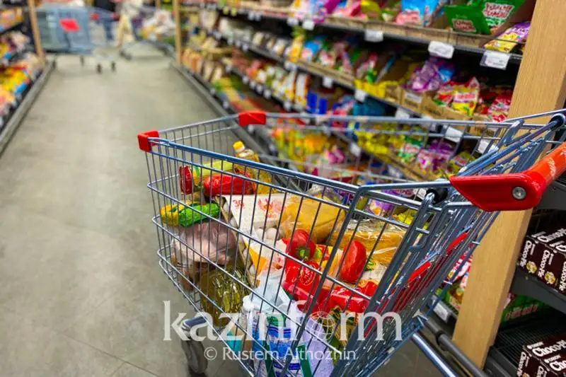 Үкімет басшысы әлеуметтік тауарлар бағасының өсуін ауыздықтауды тапсырды