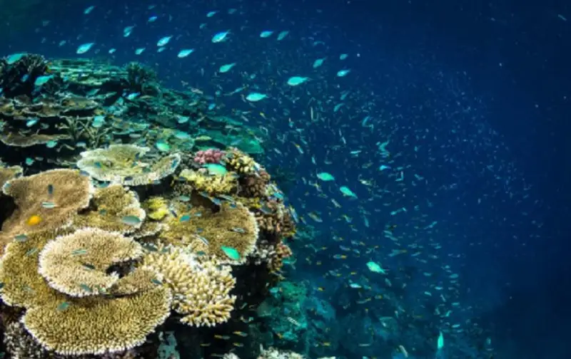 Мы должны заключить мир с природой – Генсек ООН