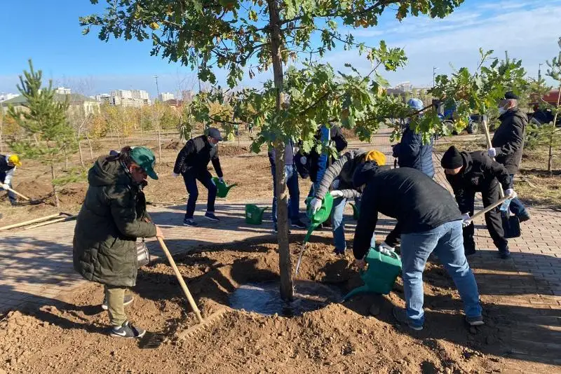 Свыше двух тысяч деревьев посадили во время субботника в Нур-Султане