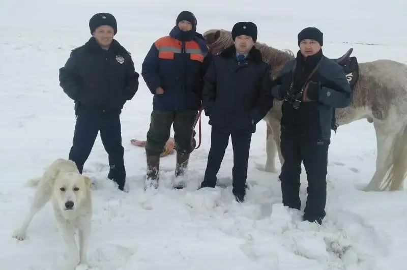 Костанайские полицейские нашли заблудившегося в степи мужчину