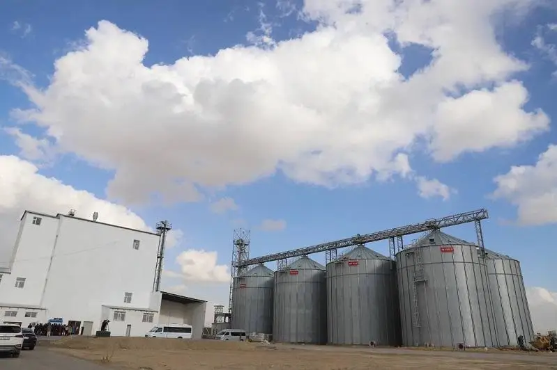 За годы независимости в Мунайлинском районе Мангистауской области субъектов МСБ стало больше на 88%