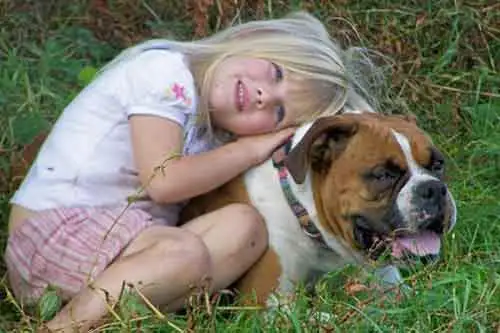 768fa47fa05478cc663cb8ae67a13f1e