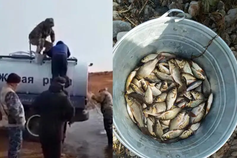 Qaraǵandy oblysynda Balqash kóline balyq jiberý jalǵasýda