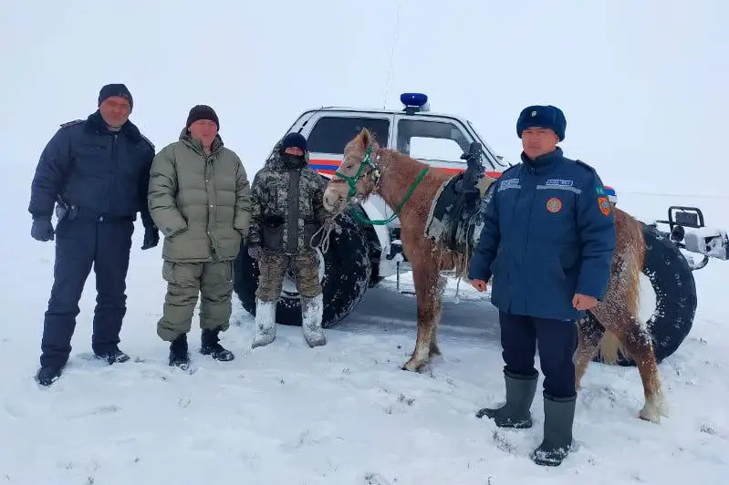 Костанайские спасатели нашли заблудившегося пастуха