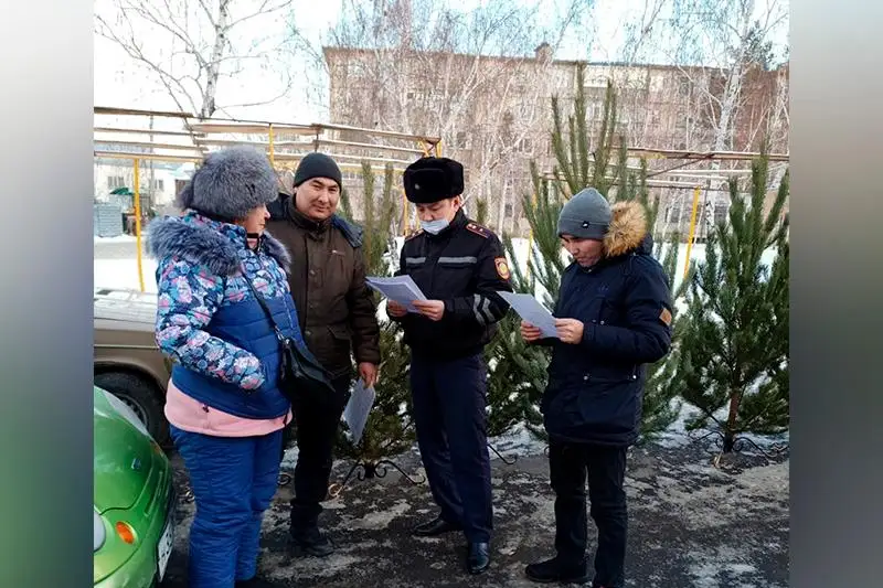 Охрану хвойных деревьев в предновогодний период усилили в Костанайской области