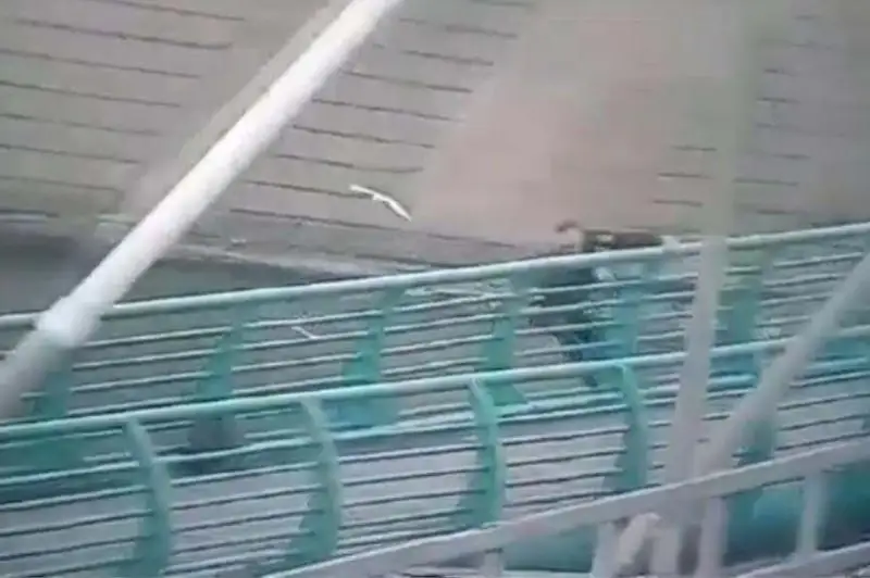 Полицейским удалось спасти беременную женщину из реки Есиль в Нур-Султане