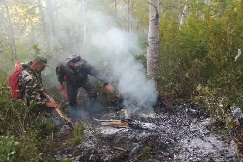 41 лесной пожар произошел в Восточном Казахстане в этом году