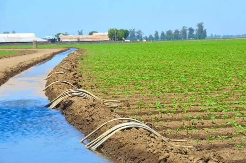 Увеличена подача воды в казахстанскую часть канала «Достык»