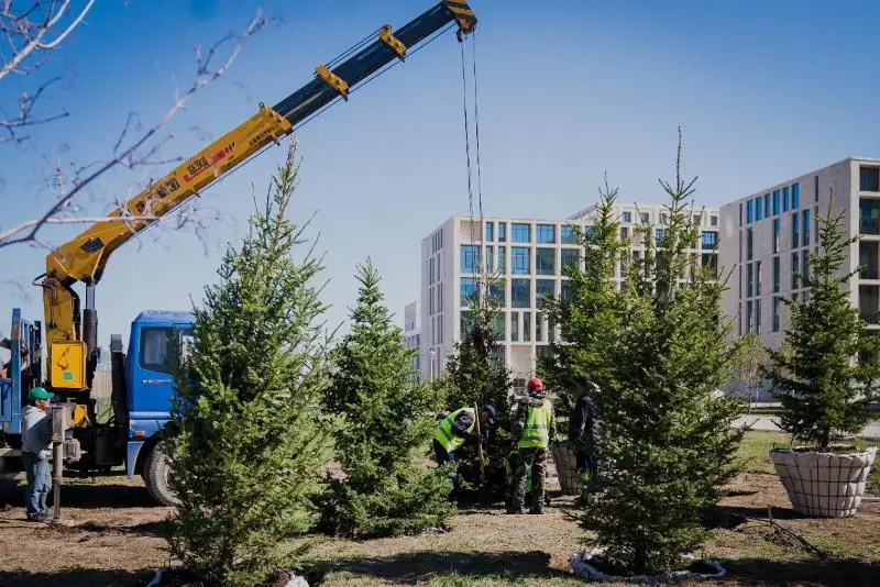 Алтай Кульгинов призвал бизнесменов сажать деревья