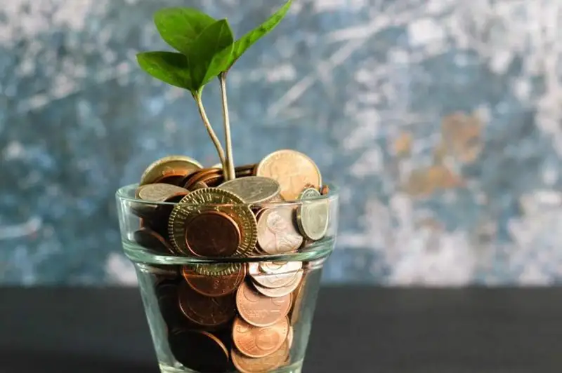 Евразийский экологический фонд создан в Казахстане