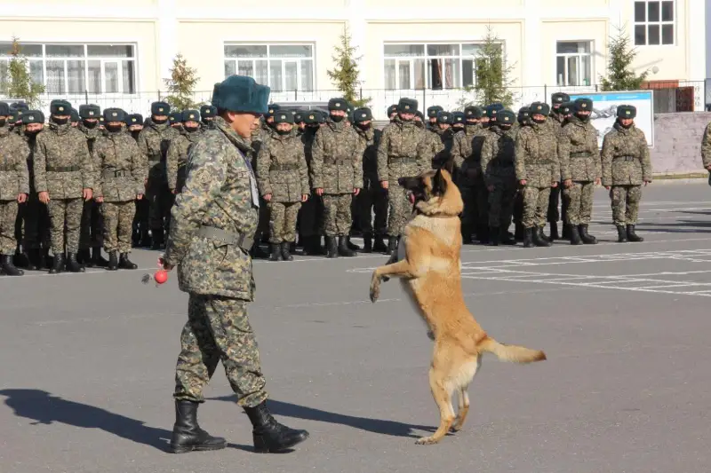 Лучших кинологов Нацгвардии выбрали в Нур-Султане