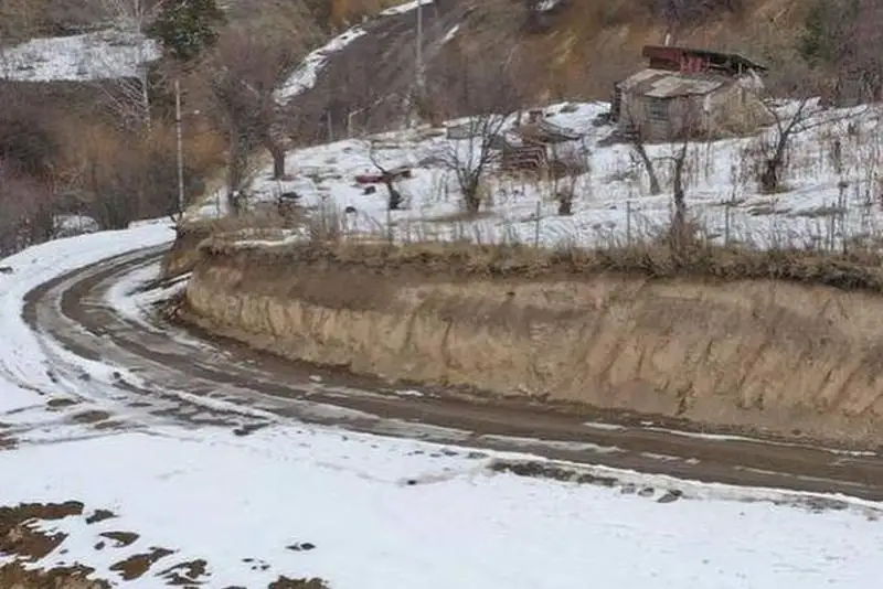 Вырубку деревьев на Бутаковском ущелье прокомментировали в акимате