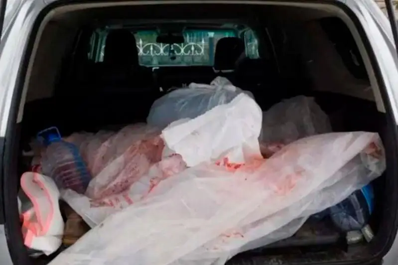 Тушу косули и три ружья изъяли у астанчанина полицейские Акмолинской области