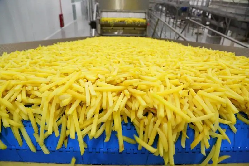 Картофель фри и осетровую икру будут производить в Акмолинской области