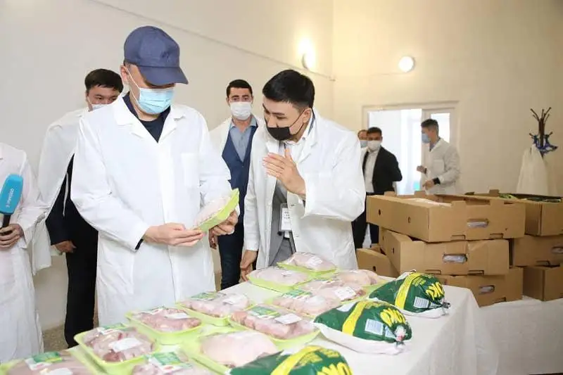 До 20 тысяч тонн бройлерного мяса планирует производить птицефабрика в Костанае