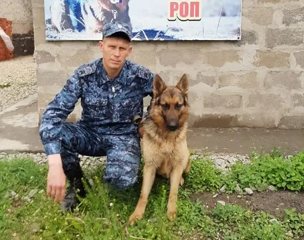 Пес Граф помог раскрыть преступление в Акмолинской области