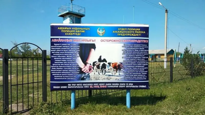 3658 домашних животных загнано на штрафстоянки в СКО
