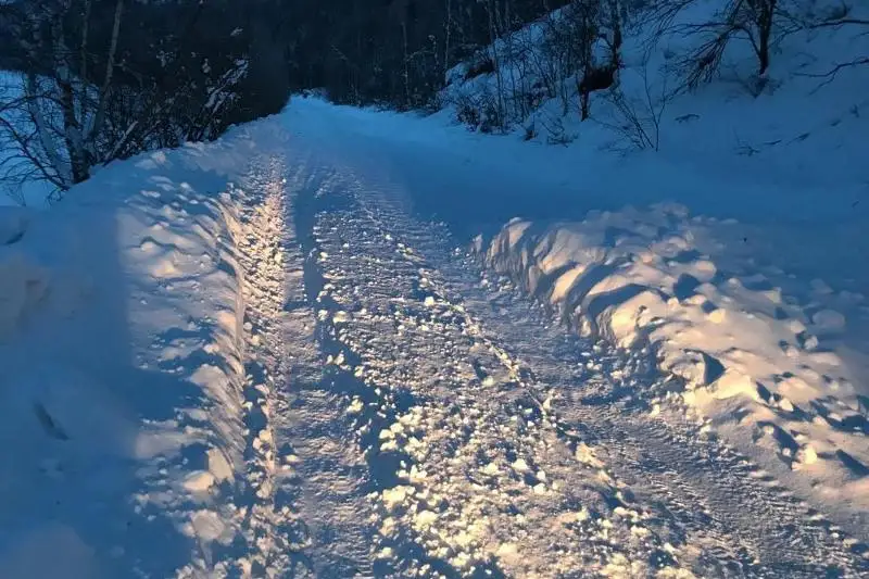 Лавина сошла в Восточно-Казахстанской области
