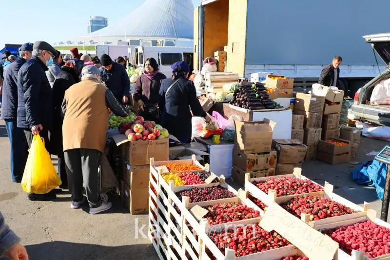 Фермеры Казахстана покрывают лишь 1/6 потребности страны во фруктах и ягодах
