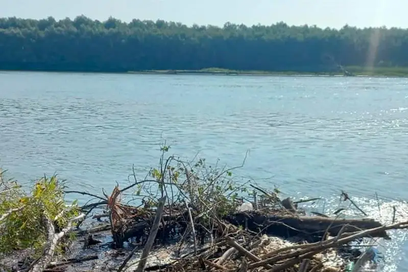 В Павлодарской области ищут утонувших мужчину и девушку