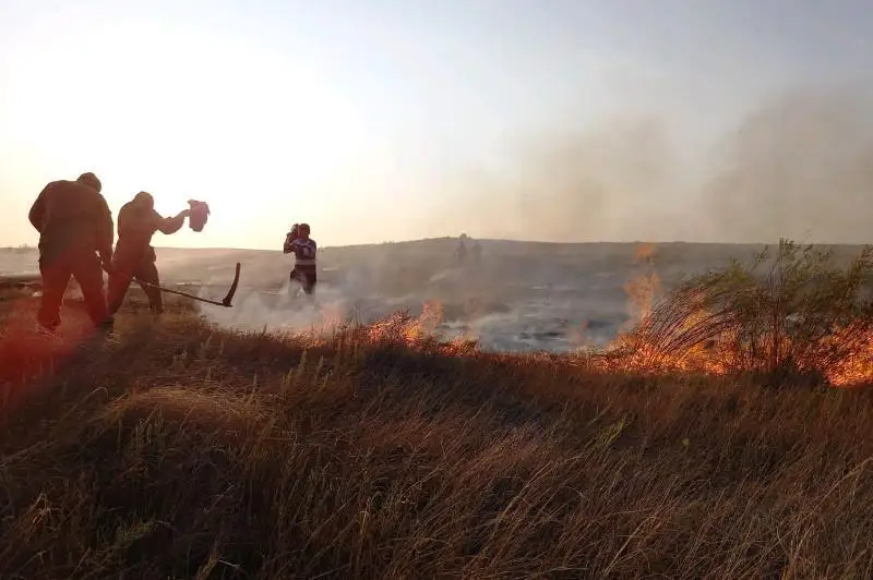 Степной пожар, длившийся 2 дня, потушили в Актюбинской области
