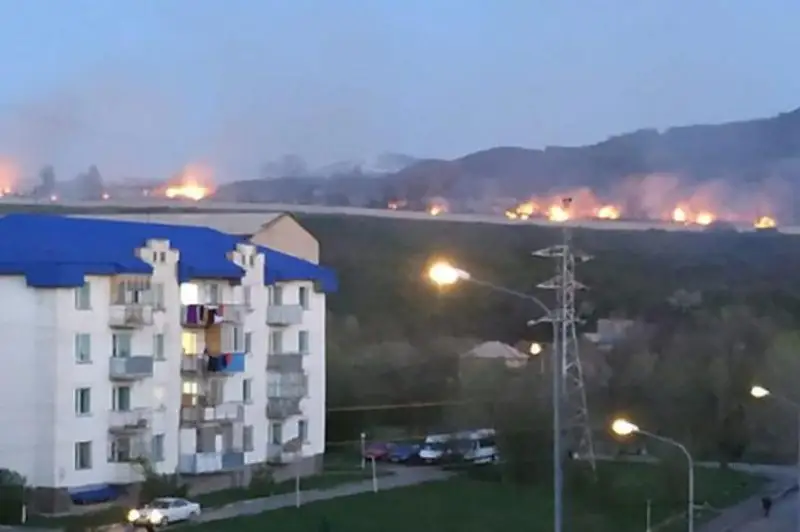 Кладбище горело в Алматинской области