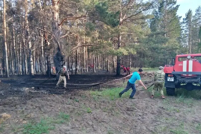 Пожар произошел в Наурзумском заповеднике