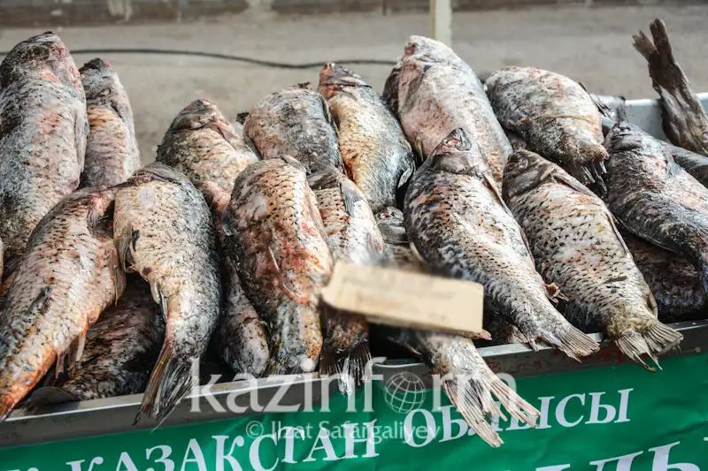 На сколько казахстанцы меньше потребляют рыбы по сравнению с соседними странами