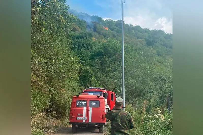 Сухостой горит на склонах гор в Алматы