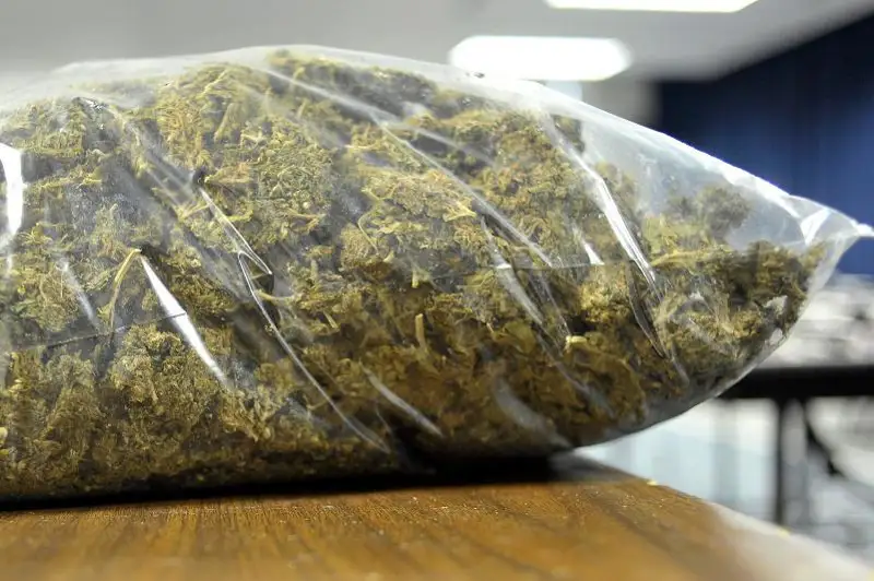 Почти девять килограммов наркотиков купила жительница Экибастуза для личного пользования