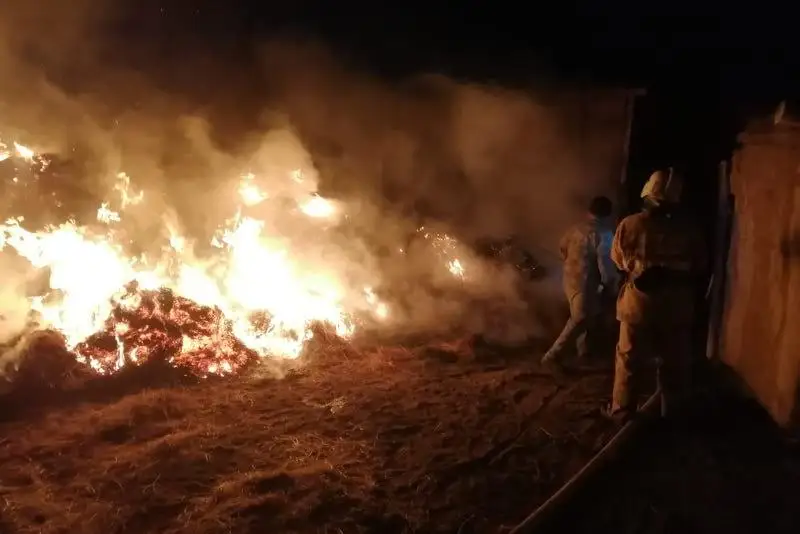Атырау облысында пішен өртеніп, оқиға орнынан 3 баланың денесі табылды
