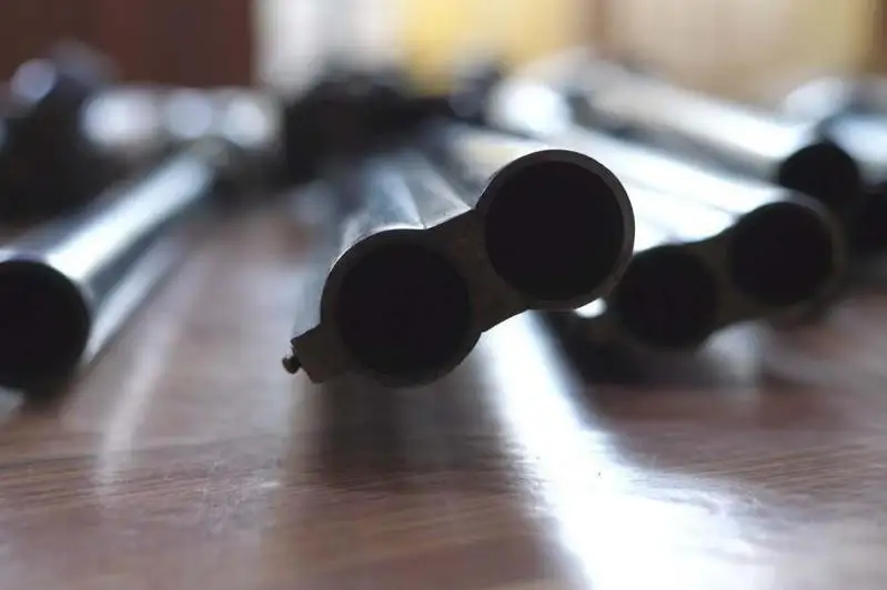 Оружие на шесть млн тенге сдали в полицию жители Алматинской области