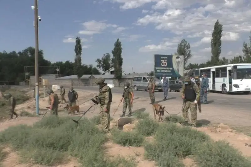 Ликвидацию последствий взрывов проводят саперы и кинологи в Жамбылской области