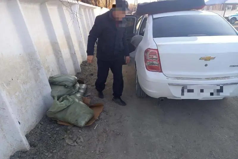 ShQO-da jyl basynan beri brakonerler 6 myń keli balyq aýlaǵan