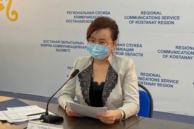 Более 250 костанайских сел будут охвачены проектом «Ауыл - Ел бесігі»