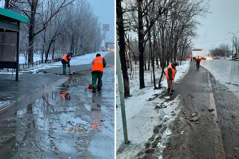 В горах Алматы выпало до 20 сантиметров снега