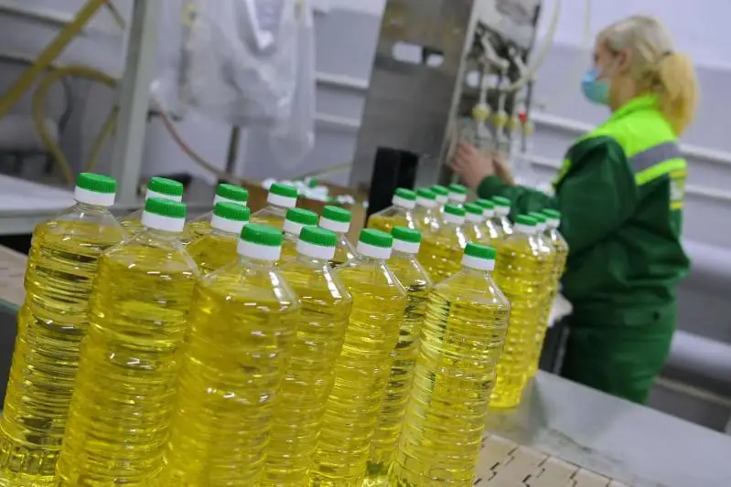 Собственное подсолнечное масло начнут производить в Павлодарской области