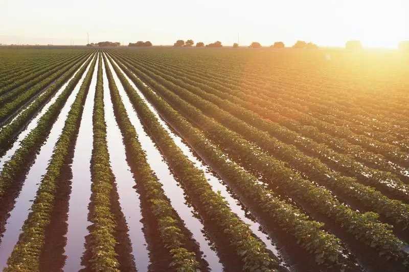 Площадь орошаемых земель увеличили в Успенском районе Павлодарской области